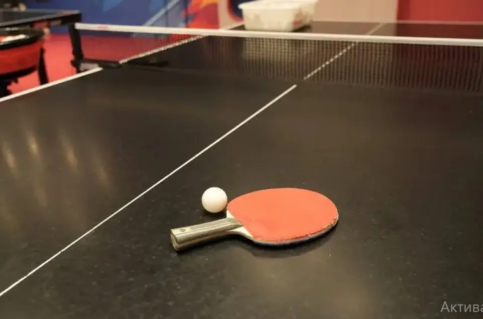 4-Hour Table Tennis Match Play with ITTF Museum Tour in Shanghai