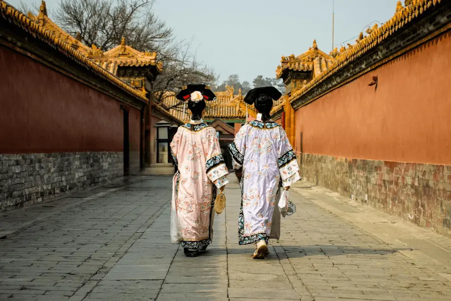 Travel Enthusiasts