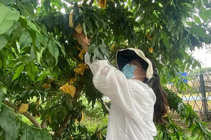 One-Day Seasonal Fruit Picking Tour in Shanghai