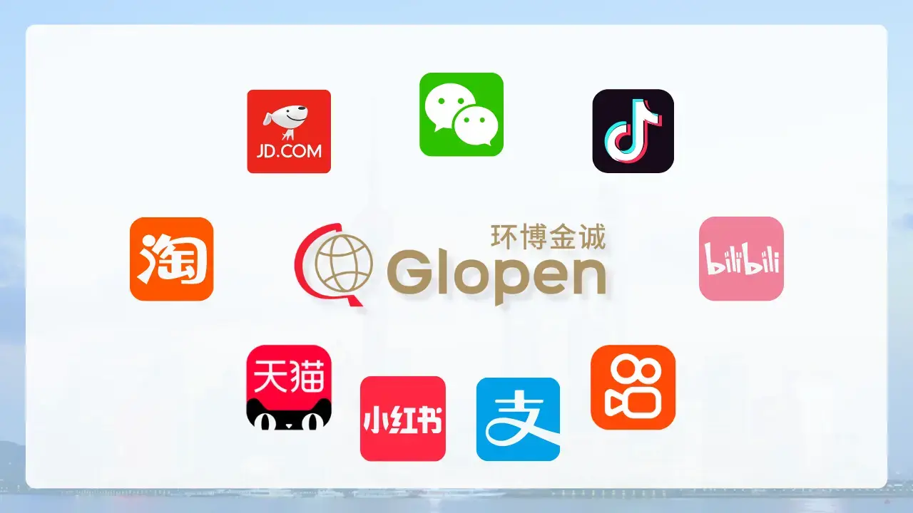 China's E-Commerce Platforms Explained (2025)