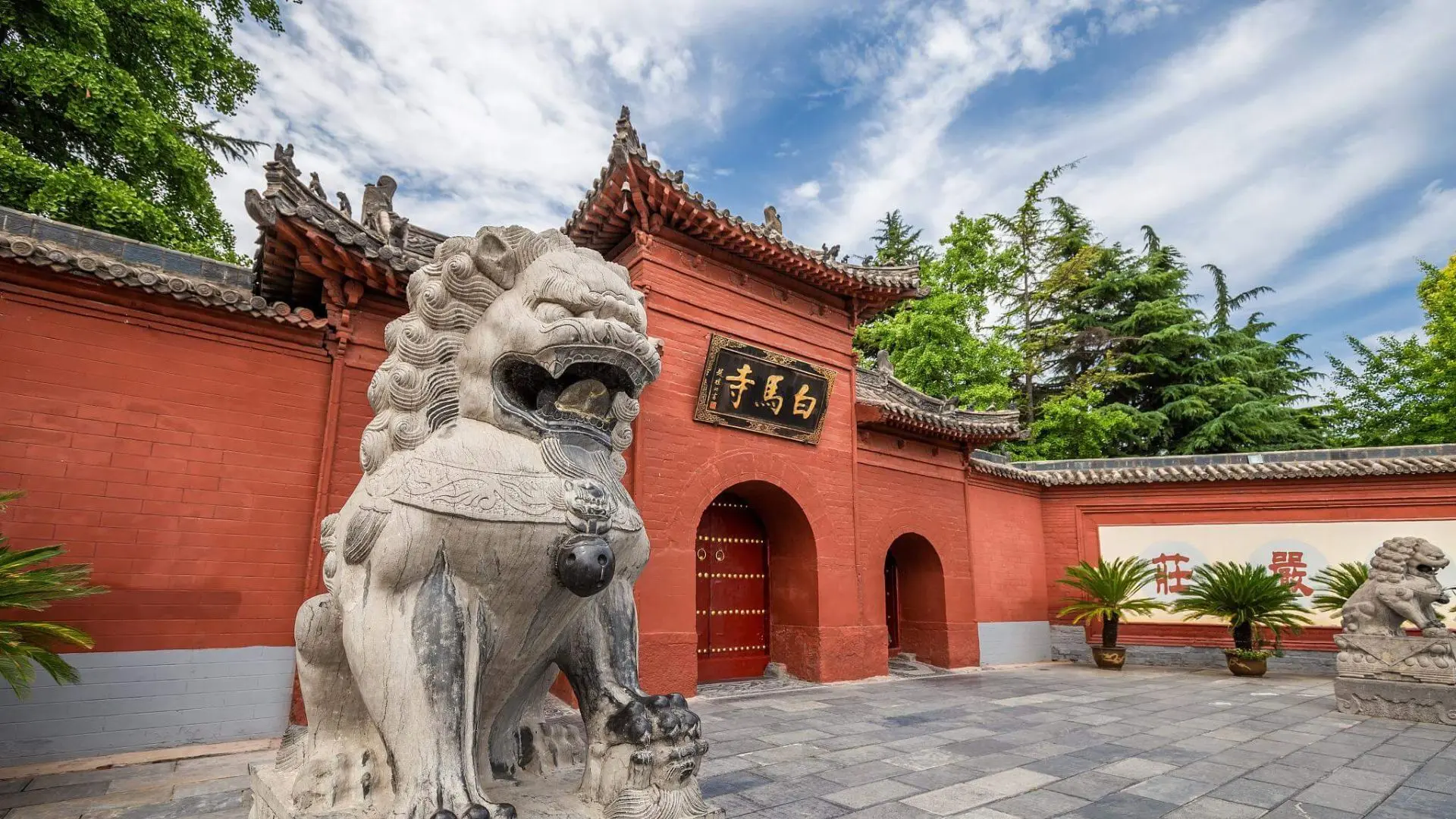 Kungfu Tour