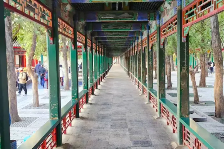 Private China Day Tours with English-Speaking Tour Guide