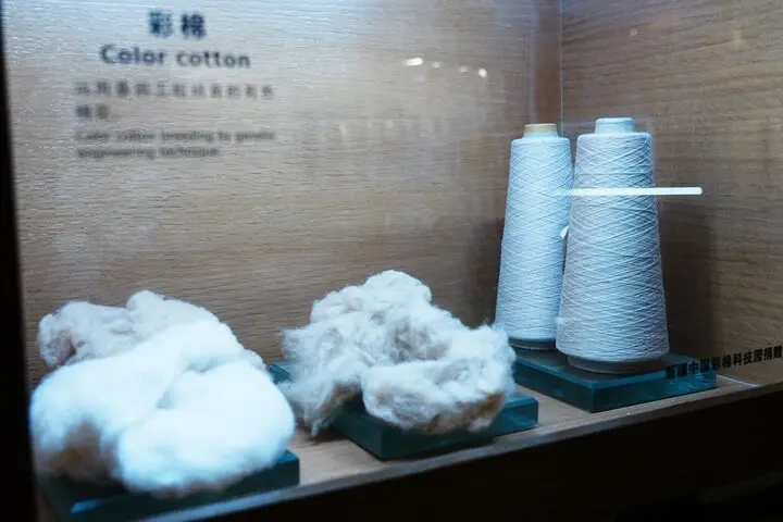 3.5-Hour Creative and Textile Heritage Walking Tour in Shanghai