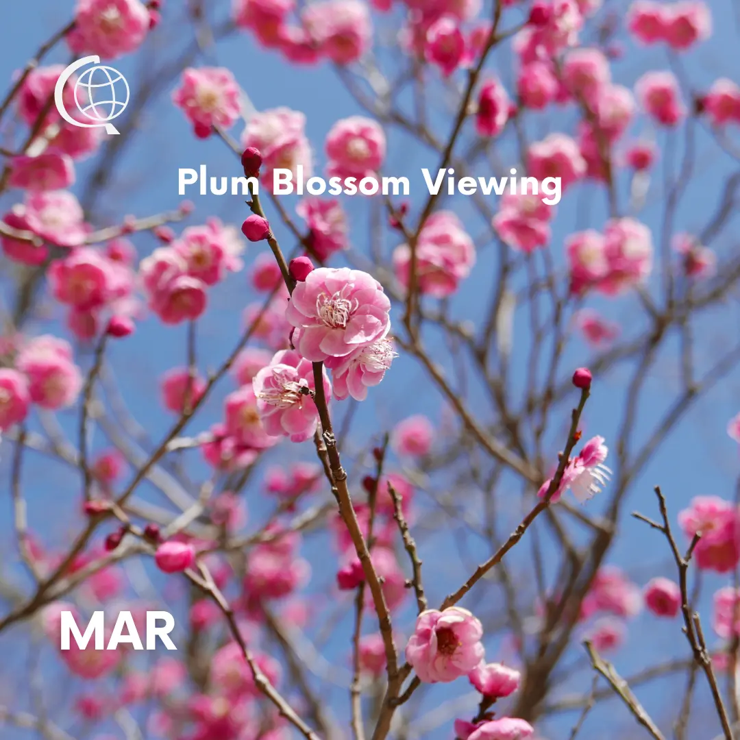 March: Plum Blossom Viewing