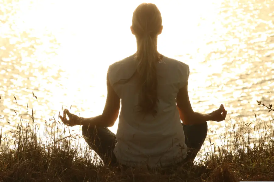 WellnessSeekers