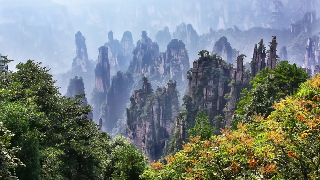 8. Zhangjiajie National Forest Park, Zhangjiajie