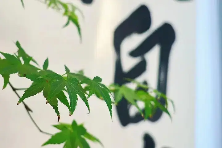 3-Hour Chinese Painting and Calligraphy Workshop in Beijing